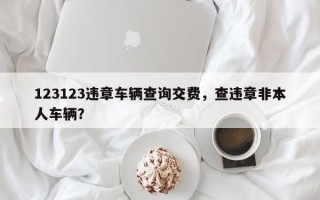 123123违章车辆查询交费，查违章非本人车辆？