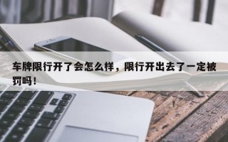 车牌限行开了会怎么样，限行开出去了一定被罚吗！