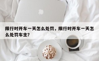 限行时开车一天怎么处罚，限行时开车一天怎么处罚车主？