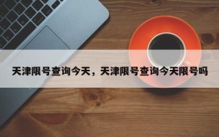 天津限号查询今天，天津限号查询今天限号吗