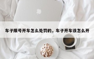 车子限号开车怎么处罚的，车子开车该怎么开