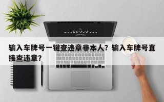 输入车牌号一键查违章非本人？输入车牌号直接查违章？