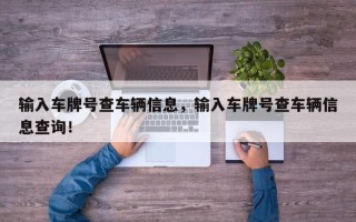 输入车牌号查车辆信息，输入车牌号查车辆信息查询！