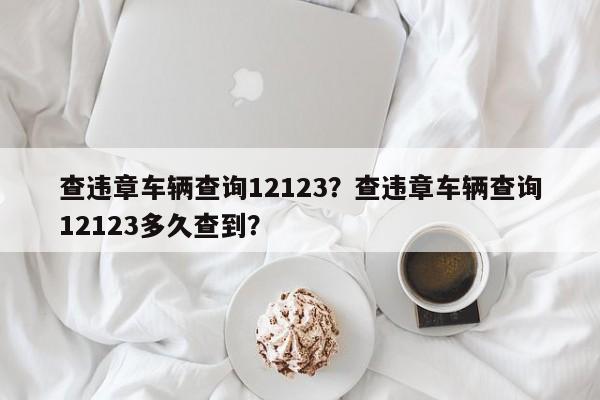 查违章车辆查询12123？查违章车辆查询12123多久查到？-第1张图片-末央生活网